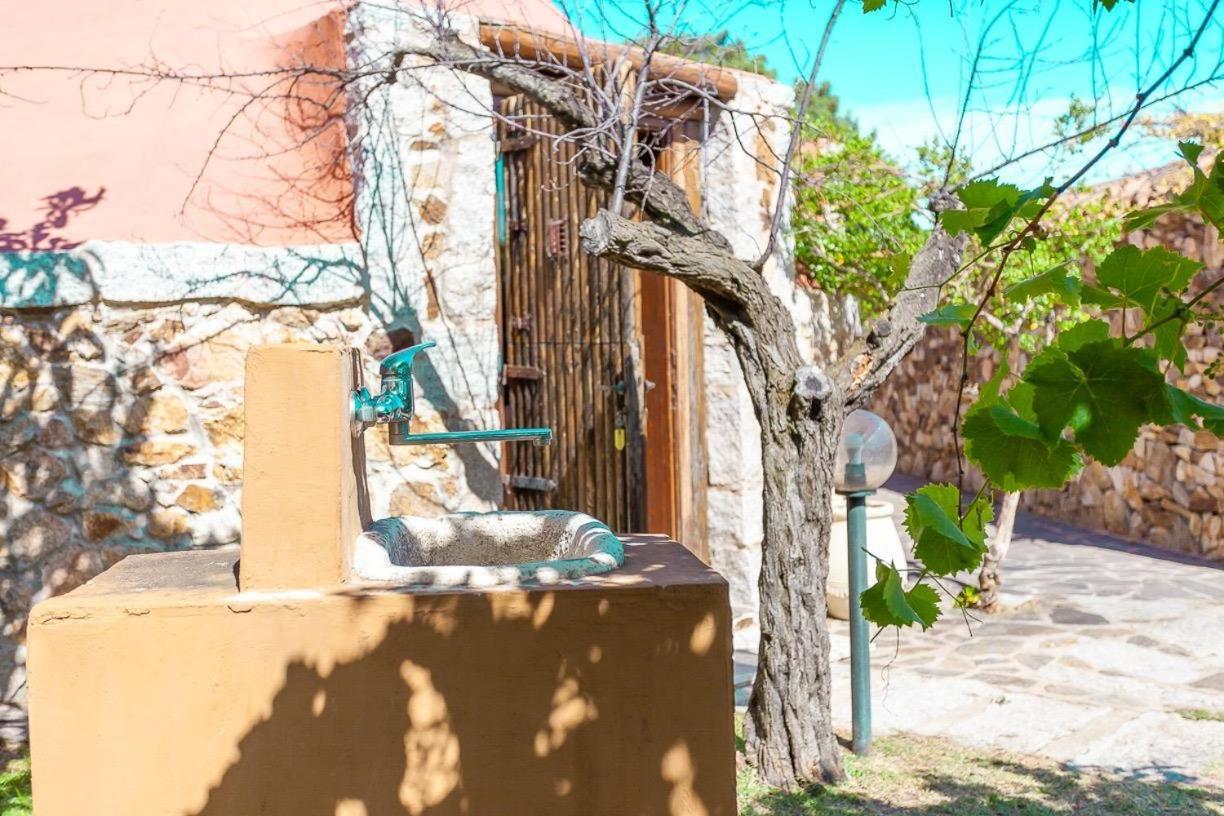 سان تيودورو B&B Pettirosso Garden المظهر الخارجي الصورة