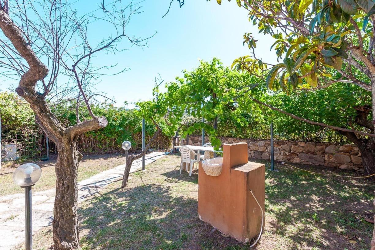 سان تيودورو B&B Pettirosso Garden المظهر الخارجي الصورة
