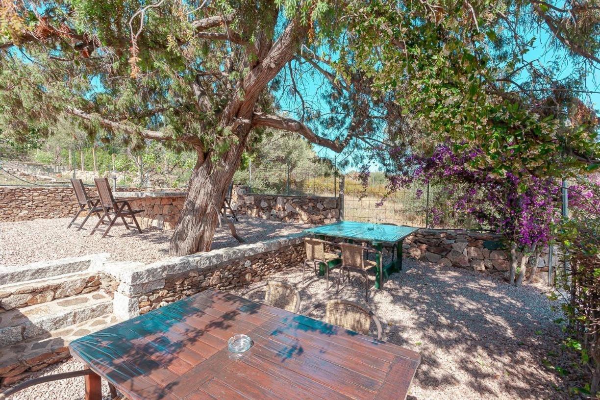 سان تيودورو B&B Pettirosso Garden المظهر الخارجي الصورة