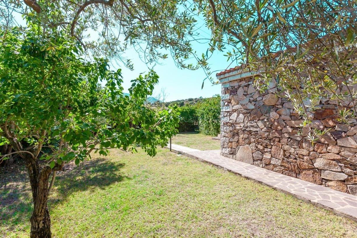 سان تيودورو B&B Pettirosso Garden المظهر الخارجي الصورة