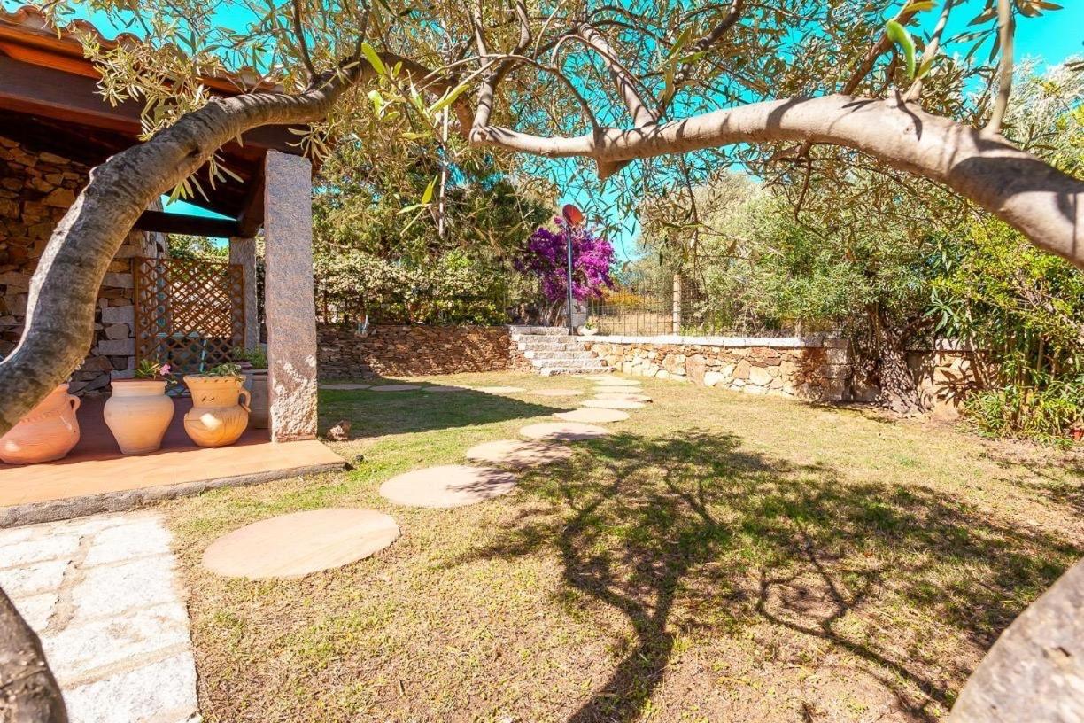 سان تيودورو B&B Pettirosso Garden المظهر الخارجي الصورة