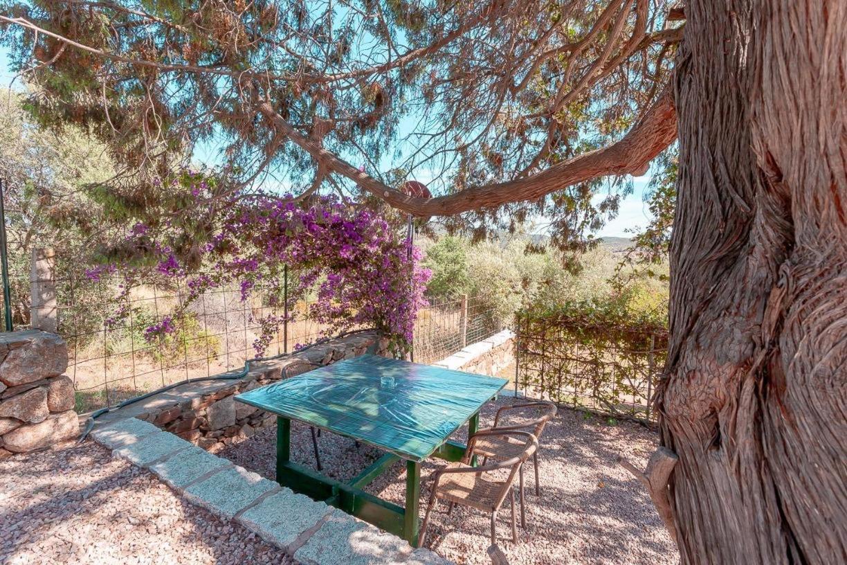 سان تيودورو B&B Pettirosso Garden المظهر الخارجي الصورة